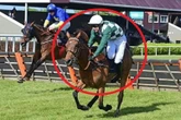 Watch jockey fall off leading horse at final jump as probe launched into incident