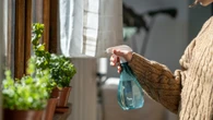 Plant doctor reveals common mistake in hot weather that kills indoor plants