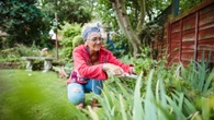 I’m a gardening expert, my £10 tricks will transform your garden with no effort