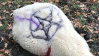 Man arrested over 'sadistic' animal killings after fears of 'Satanic cult'