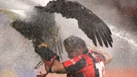 Moment Nice's eagle is blasted by pitch sprinkler while getting a treat