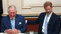 Here's why Harry will feel reunion tea with Charles was mission accomplished