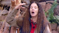 Janice Dickinson SUES ITV bosses after horror fall on I'm a Celeb set