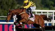 State Man wins at Punchestown but Constitution Hill runs a dismal race