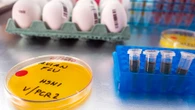 Bird flu outbreak spreads to new UK region as study finds chilling virus fact