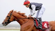Royal Ascot hammer blow as superstar Kyprios retires just weeks before Gold Cup