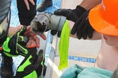Brit boy, 4, sucked into pool filter at Majorca hotel sparking rescue mission