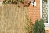 I hate my neighbour's messy garden but a privacy fence blocks it out