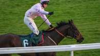 Potential superstar horse who failed drugs test to run at Cheltenham Festival