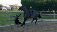 Horror moment Molly-Mae thrown from horse into fence as pals ask ‘can you breathe?’