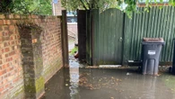 Our garden is being flooded due to HUGE trees next door - council won’t stop it