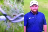 New footage shows Lowry's ball DID move as R&A release statement on controversy