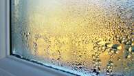 Stop condensation soaking your windows with a 5-minute ‘flush’ Germans swear by