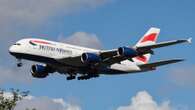 BA captain & steward suspended after 'one stripped off sparking bar brawl'