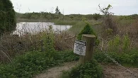 'Human remains' found near Taylor Swift's home reigniting serial killer fears
