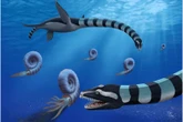 Mystery behind 85m-year-old sea monster with giant teeth solved after decades
