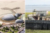 Long-lost historic 'super swimming stadium' to be excavated after 50 years