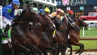 Blockbuster race UNDERWAY as 19 runners contest $5m showpiece