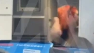 Passenger attacks flight attendants 'after being told she can't use phone'