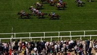'Horrible' scenes at Ascot as 'magnificent' horse tragically dies in first race