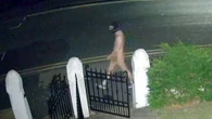 Moment naked man in 'gimp mask' prowls as families 'scared to let kids out'