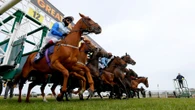 'Significant delay' at Yarmouth races after nasty starting stalls incident