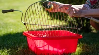 A 73p BBQ staple removes rust from grills & a drink that cleans utensils