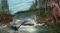 Discovery sheds light on 20ft ‘mega raptor’ that stalked Earth 120m years ago