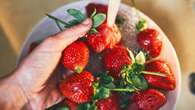 How to grow strawberries indoors for fruit all year