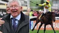 Sir Alex Ferguson's 'maddest horse ever' backed for Cheltenham Festival glory