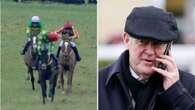 Serial-winning Cheltenham horse halves in odds amid rumours of big-money buy