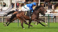 Templegate's Tote Placepot tips for Dewhurst day at Newmarket