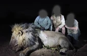 Legendary lion Blondie is shot dead by a sick trophy hunter in £35k kill