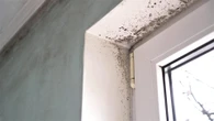 Lidl is launching £1.99 buy that will keep your home mould free this winter