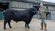 Clarkson's Farm shock after Jeremy spends £6k on a breeding bull that's GAY