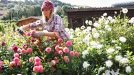 No mow May & pruning rules - pro gardener reveals 5 jobs you must do now