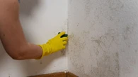Home sellers could be forced to tell buyers if they have damp or flooding risks