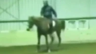 Olympic rider, 66, banned after striking horse '40 times' in 'awful video'