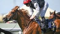 Aidan O'Brien superstar a huge drifter for Royal Ascot as stablemate smashed in