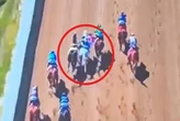 Jockey rides two horses in one race as 'braindead' rival causes disaster
