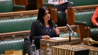 Jails will run out of space in 5 MONTHS as new plan to curb overcrowding unveiled