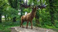 The prehistoric beasts that roamed ancient Britain – including giant 'Irish Elk'