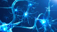 Two common infections may cause Alzheimer's, scientists warn - are you at risk?