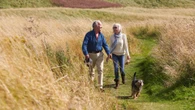 Huge £1,000 fine dog owners face for common mistake while on a walk this summer