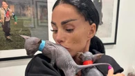 Katie Price slammed for taking sick cats on tour