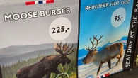 Moose burgers, reindeer hot dogs - is this Europe's most underrated footie trip?
