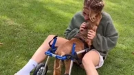 Stacey Solomon urges fans to 'be kind' as she shares health update on pet dog