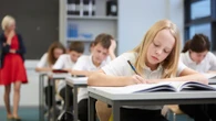 White working-class kids have been betrayed. It's not racist to say it