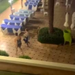 Sun lounger vigilante RUINED hol, says Brit after tourists filmed taking towels