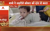 Fearless toddler, 2, bites COBRA to death after venomous snake attacked him